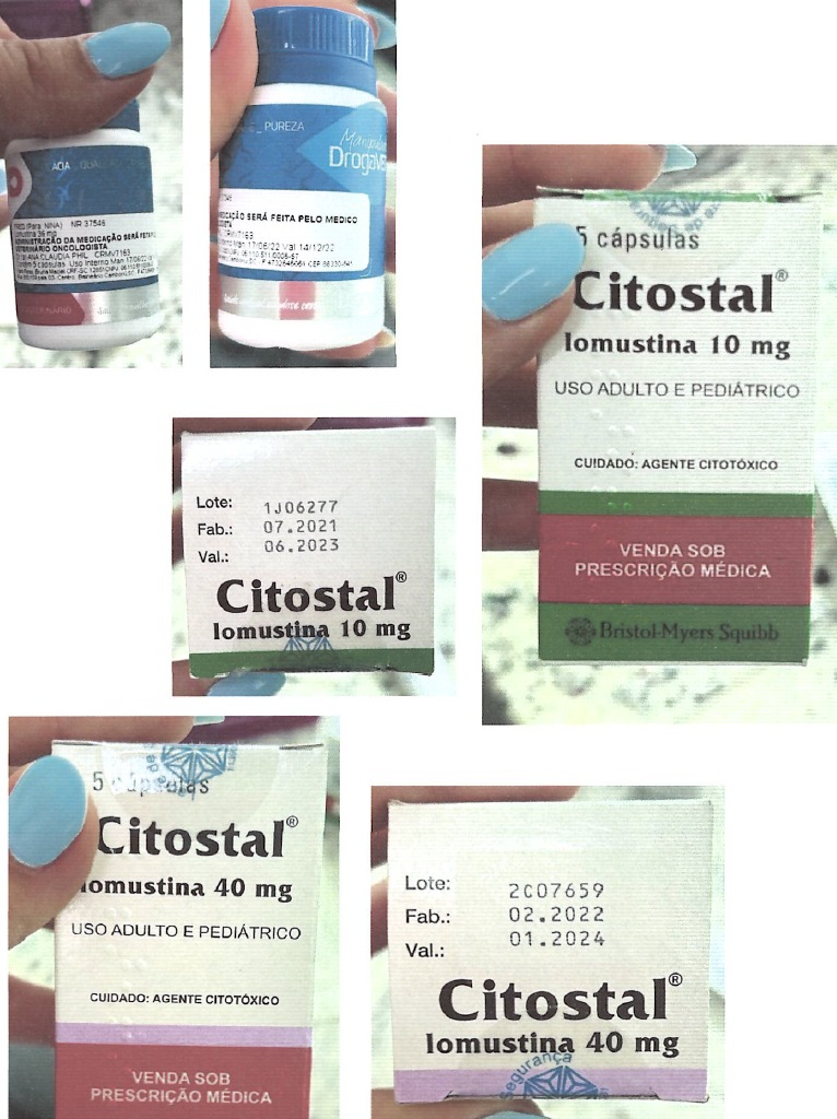 Dono de hospital veterinário é indiciado por maus-tratos e irregularidades em Blumenau