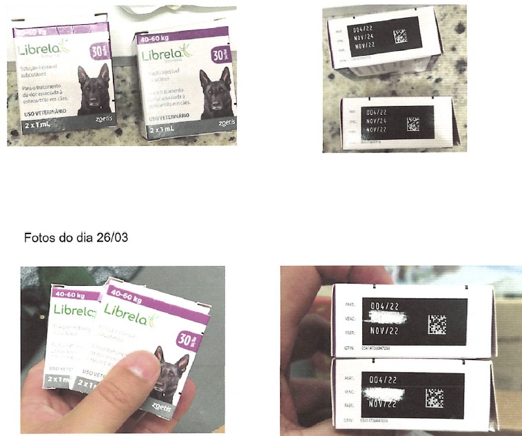 Dono de hospital veterinário é indiciado por maus-tratos e irregularidades em Blumenau