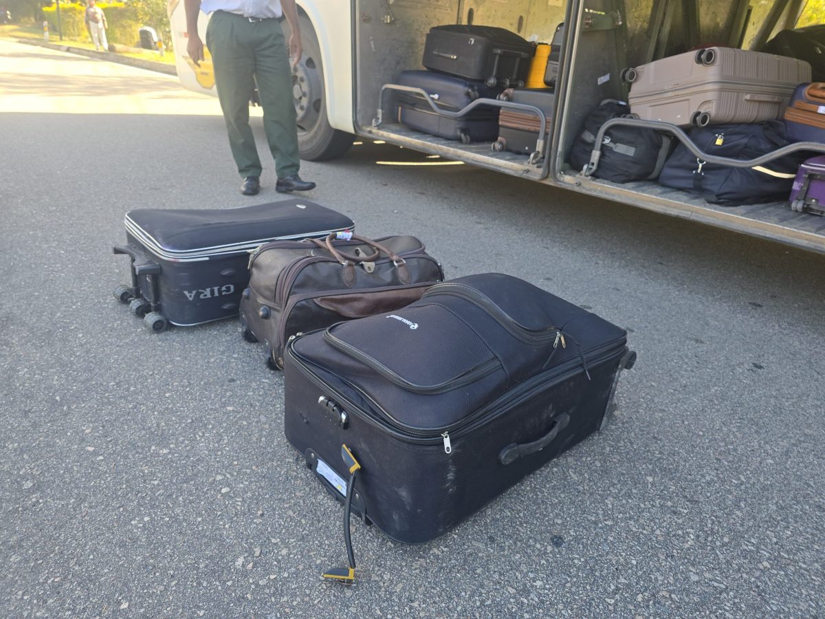 Homem é flagrado com cerca de 600 filhotes de jabutis escondidos em malas no bagageiro de ônibus