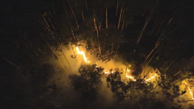 Fogo consome área de vegetação próxima a parque em Blumenau