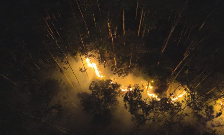 Fogo consome área de vegetação próxima a parque em Blumenau