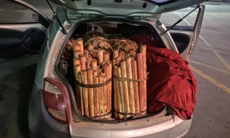 Dupla é presa em Ilhota transportando 500 unidades de palmito retiradas ilegalmente de matas em Gaspar