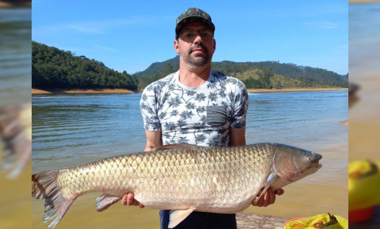 Pescador fisga carpa gigante de 27kg na barragem de Rio dos Cedros