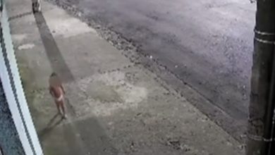Sozinha na madrugada: criança de fralda é encontrada na rua enquanto mãe vai a baile funk