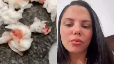 Aluno é agredido por cinco colegas em escola de Itajaí e precisa passar por cirurgia