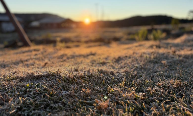 Neve volta a cobrir cidades da Serra catarinense em manhã gelada