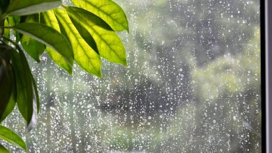 Frente fria muda o tempo em SC: calor, chuva e frio no fim de semana