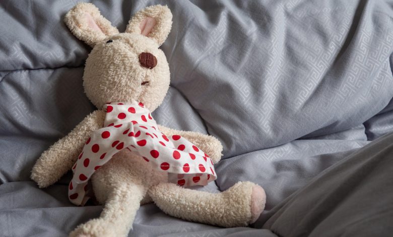 GAECO deflagra operação contra crimes de exploração sexual infantil em Ibirama e região