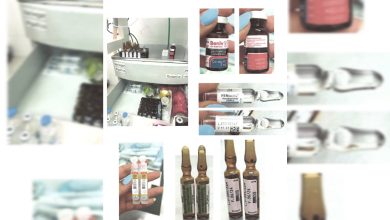 Dono de hospital veterinário é indiciado por maus-tratos e irregularidades em Blumenau