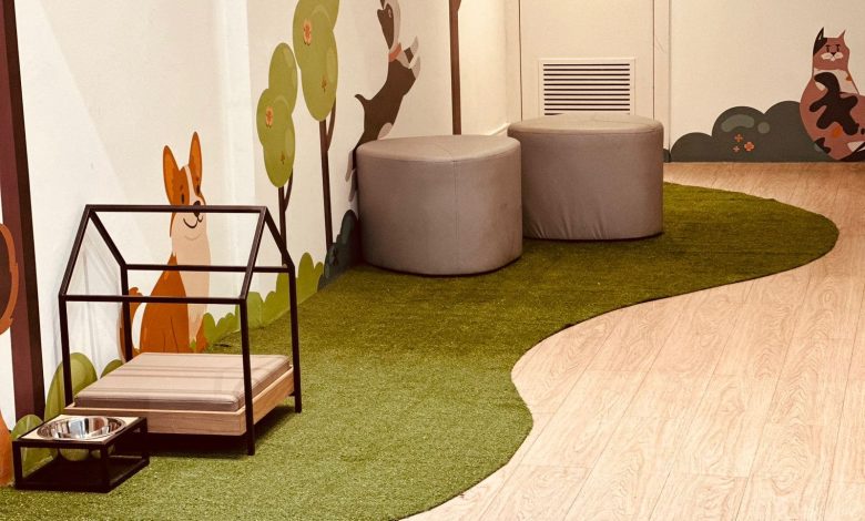 Norte Shopping inaugura espaço Pet Place para acolher animais de estimação