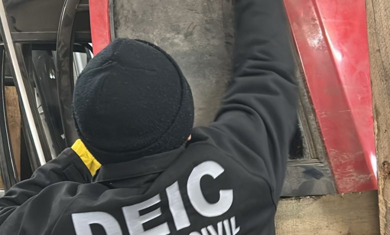 Fratres Doli: irmãos no centro de investigação sobre carros roubados em Blumenau