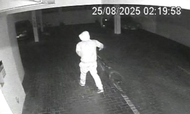 Vídeo registra homem furtando bicicleta em estacionamento de prédio residencial em Timbó