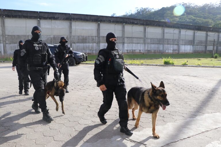 Despedida a um herói de quatro patas: morre Yankee, o primeiro cão da Polícia Penal de SC