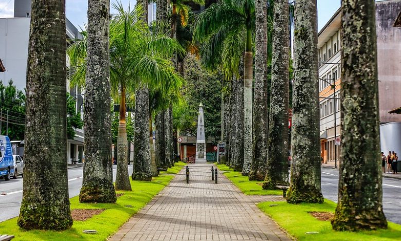 Eventos interditam ruas e mudam o trânsito em Blumenau neste domingo; veja o que muda