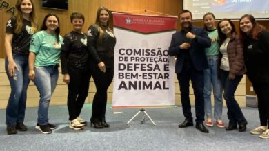 Audiência em Timbó reforça pedido por castração, chipagem e mais apoio às ONGs de proteção animal