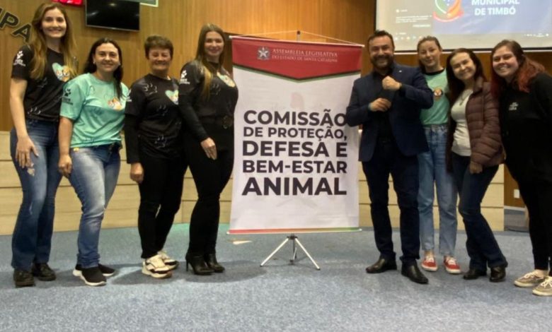 Audiência em Timbó reforça pedido por castração, chipagem e mais apoio às ONGs de proteção animal