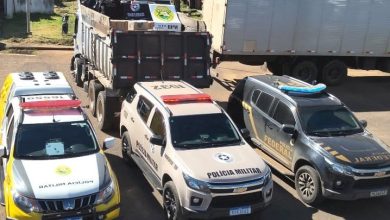 Carga milionária: caminhão de SC com 7 toneladas de camarão e 50 mil carteiras de cigarro é apreendido