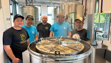Festival de microcervejarias em Pomerode aposta em cerveja sem álcool artesanal inédita