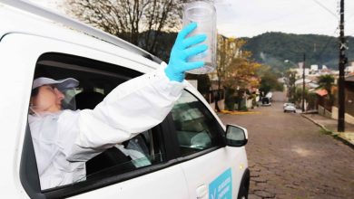 Segunda semana de soltura dos 'Wolbitos' marca avanço no combate à dengue em Blumenau