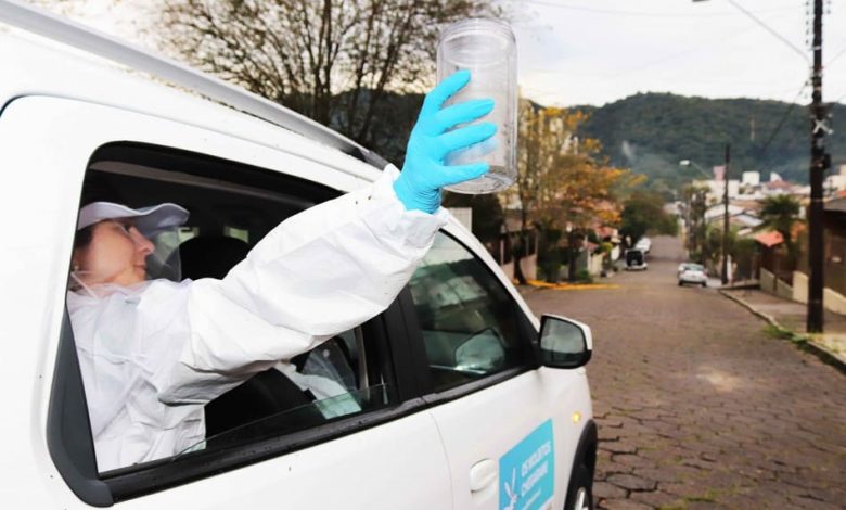 Segunda semana de soltura dos 'Wolbitos' marca avanço no combate à dengue em Blumenau