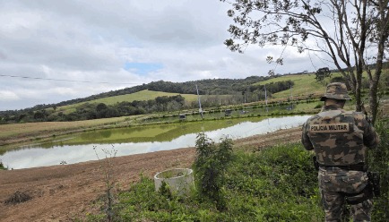 Santa Catarina registra 192 hectares de desmatamento irregular na Operação Mata Atlântica em Pé 2025