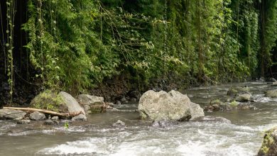 Caso grave em Ituporanga: corpo em decomposição é encontrado por moradores no Rio Itajaí do Sul