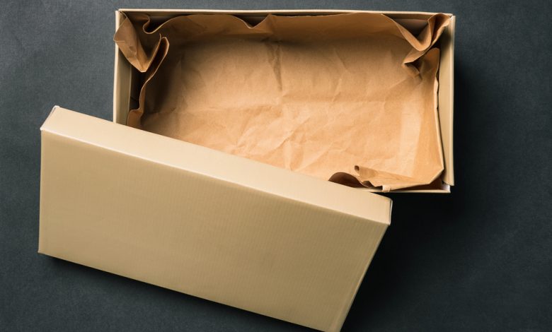 Adolescente de 14 anos é flagrada transportando feto em caixa de sapatos com ajuda da mãe em SC