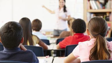 MEC lança Carteira Nacional do Docente em outubro; professores terão benefícios exclusivos em todo o país