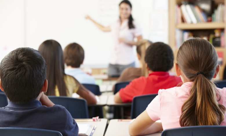 MEC lança Carteira Nacional do Docente em outubro; professores terão benefícios exclusivos em todo o país