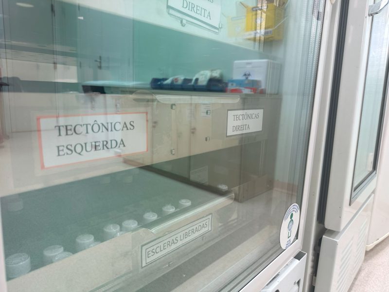 Santa Catarina lidera doações de tecidos oculares no Brasil e garante transplantes de qualidade
