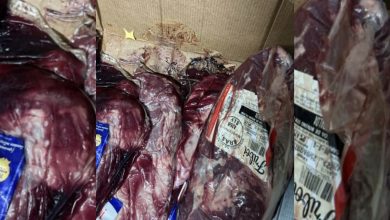 Em Timbó, 520 quilos de carne podre e alimentos vencidos são apreendidos em mercado