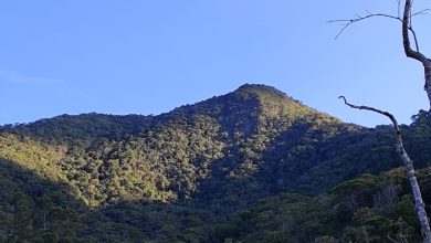 Mulher sofre queda em trilha no Pico Bateias e é resgatada pelo Arcanjo-03, em Gaspar