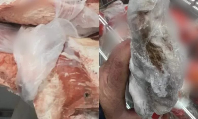 Apreensão de alimentos impróprios para consumo supera 900 kg em Timbó, Rio dos Cedros e Benedito Novo