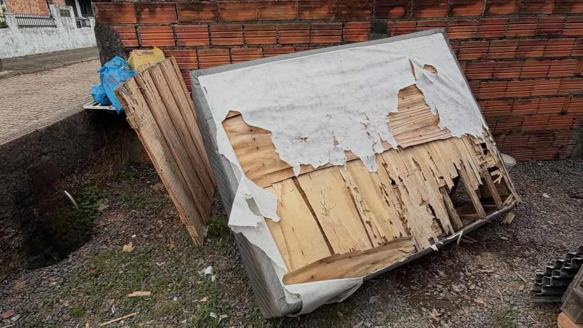 Cachorro é resgatado em Ascurra com fome, sede e problemas de saúde