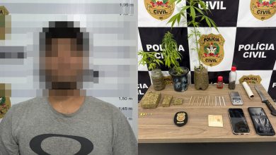 Maconha e ecstasy são apreendidos em tabacaria de Rodeio; jovem acaba preso