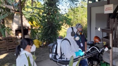 Timbó intensifica combate à dengue com nova ação preventiva em ferros-velhos