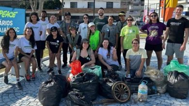 Blumenau se mobiliza em mutirão de limpeza de rios e praias no Dia Mundial do Meio Ambiente