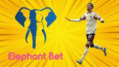 Elephant bet – análise detalhada da empresa de apostas em Moçambique