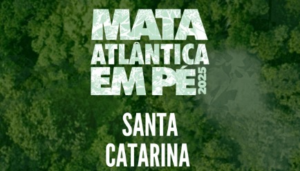 Santa Catarina registra 192 hectares de desmatamento irregular na Operação Mata Atlântica em Pé 2025