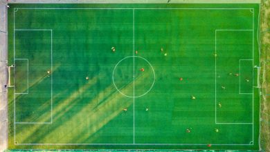 Times de futebol de Santa Catarina: Uma paixão que transcende gerações