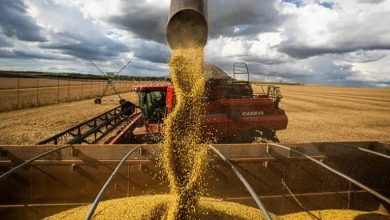 Brasil bate recorde histórico na colheita de grãos e alcança 350,2 milhões de toneladas