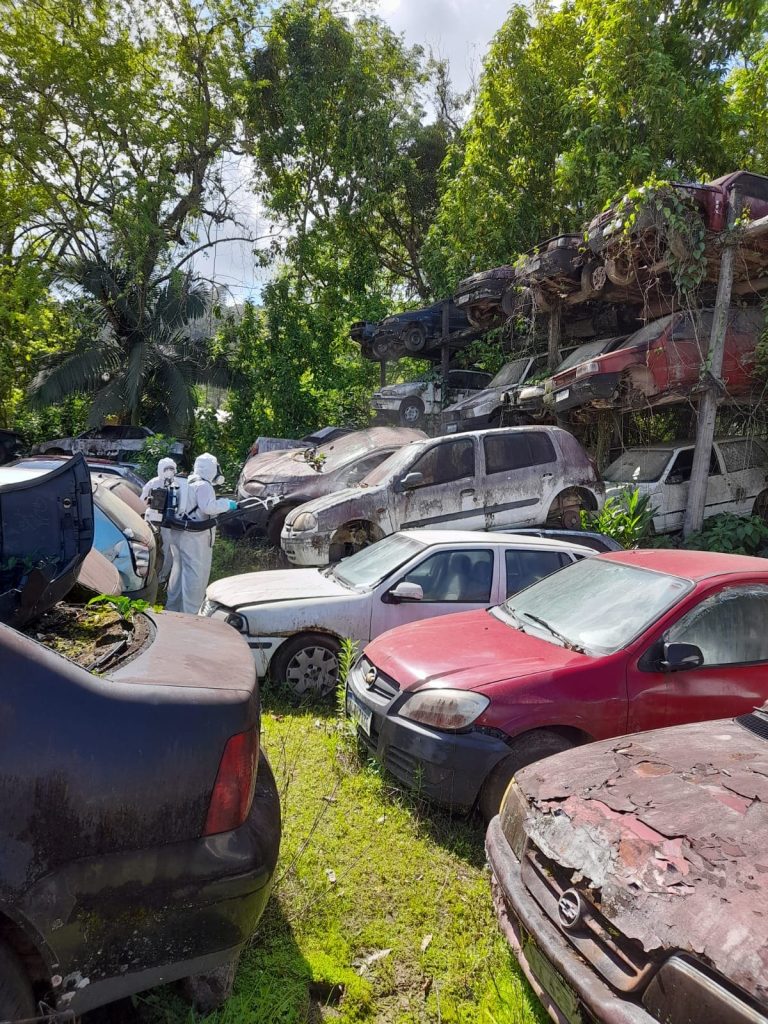 Timbó intensifica ações contra o mosquito Aedes aegypti