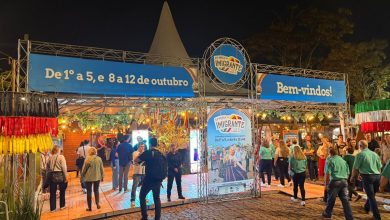 Santa Catarina em festa: explore cultura, gastronomia e tradições além da Oktoberfest