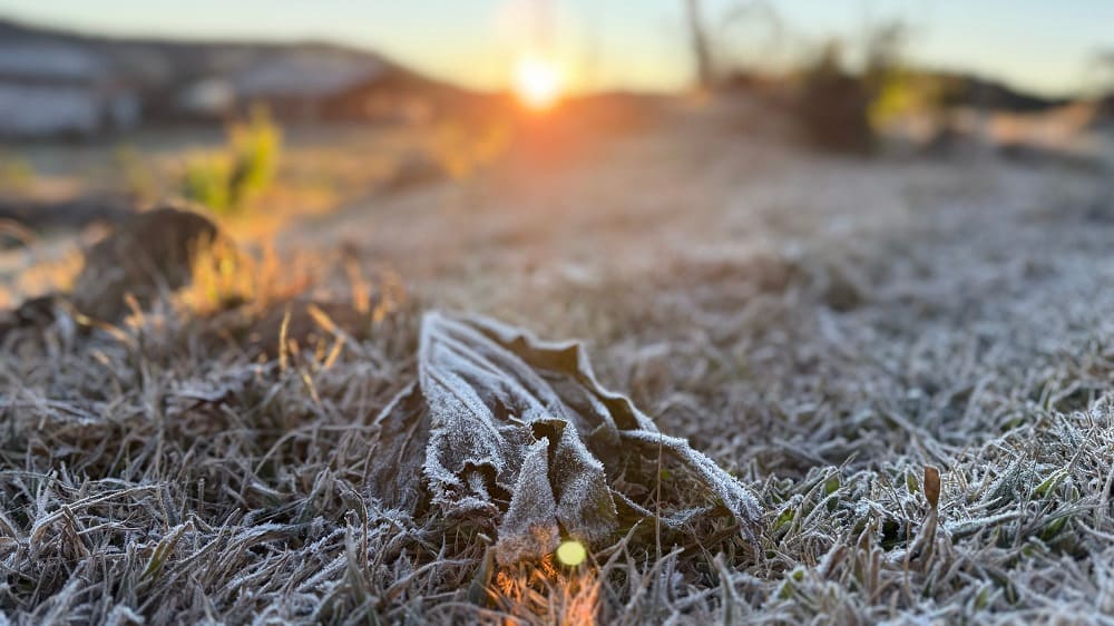 Sul e Sudeste enfrentam frio intenso com geadas; norte registra chuvas e calor