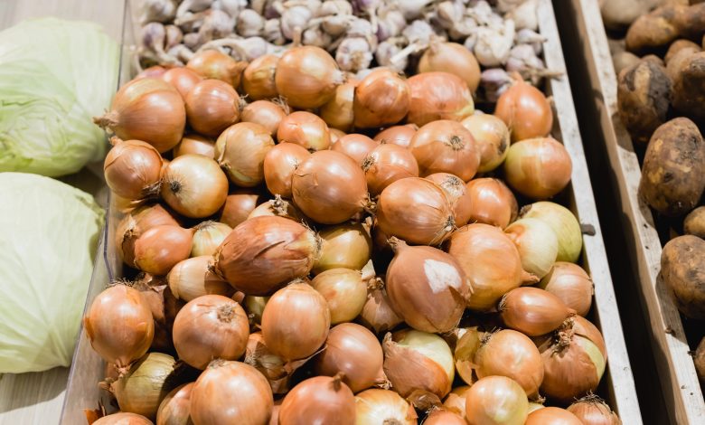 Produção de cebola em Santa Catarina deve atingir 594 mil toneladas na safra 2025/26; aumento será o maior dos últimos anos