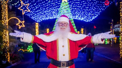 Vendas para o Natal da Rua Iluminada da Família Moletta começaram nesta quarta-feira (15)