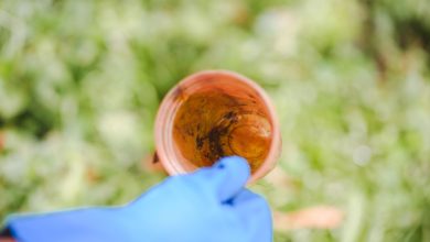 Santa Catarina intensifica ações contra o Aedes aegypti após aumento de casos de dengue