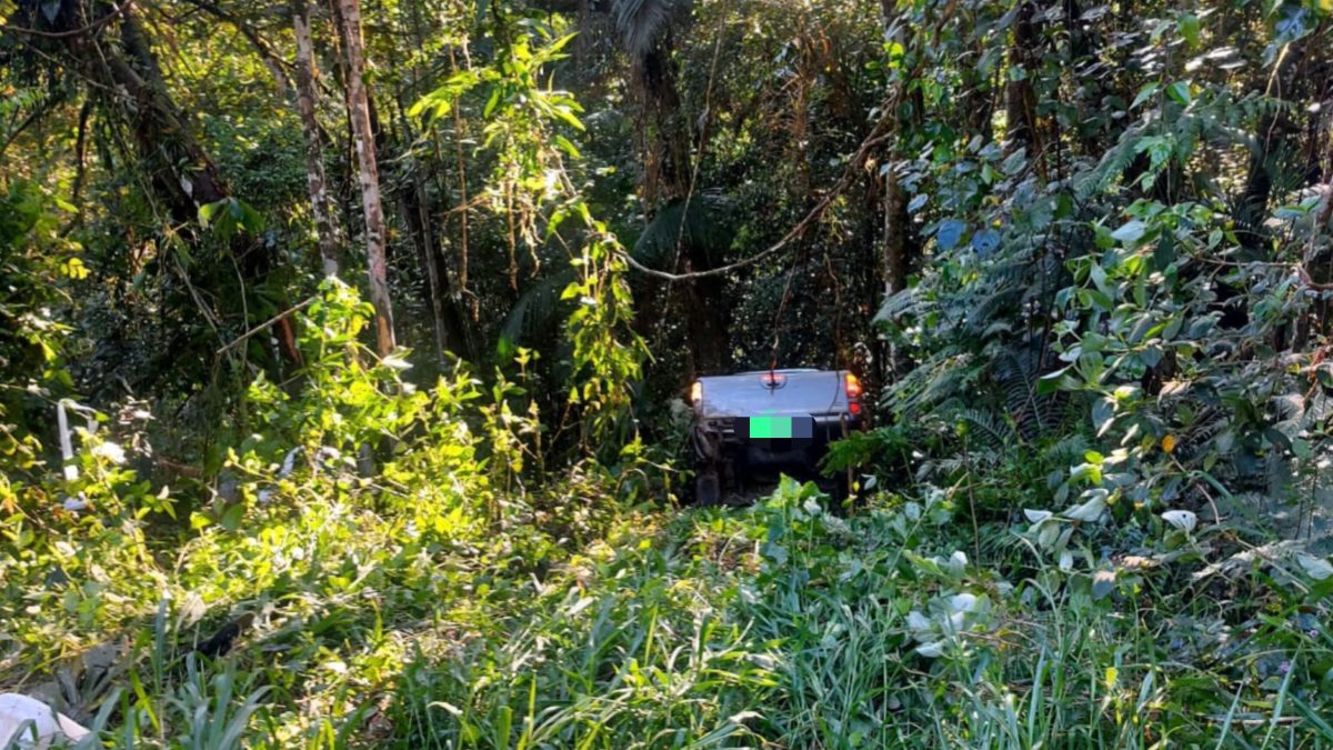 Homem fica ferido após caminhonete cair em ribanceira de cerca de 70 metros em Ascurra