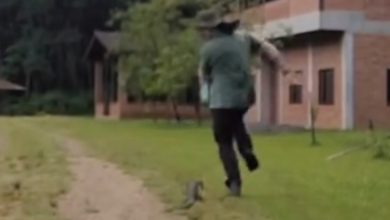Vídeo de biólogo perseguido por lagarto em Jaraguá do Sul viraliza nas redes sociais