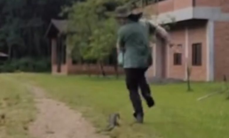 Vídeo de biólogo perseguido por lagarto em Jaraguá do Sul viraliza nas redes sociais